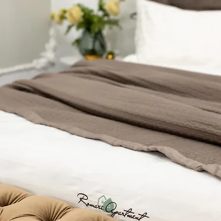 Romari братів рогатинців 32 Apartment